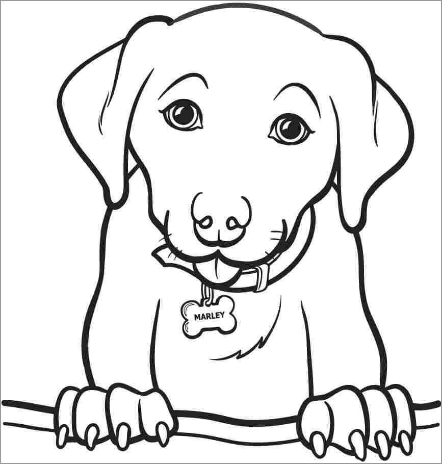 Dibujo de Retrato de Perro para Colorear