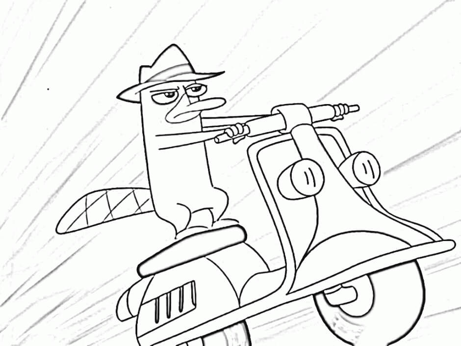 Dibujo de Perry Conduciendo una Motocicleta para Colorear