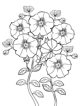 Dibujo de Página para Colorear fácil de Petunia Imprimible para Colorear