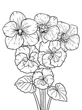 Dibujo de Página para Colorear Gratis de Petunia para Colorear