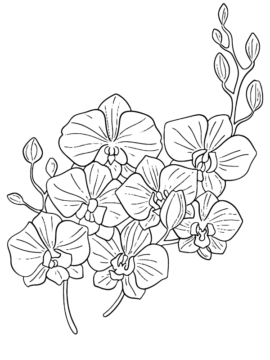 Dibujo de Página para Colorear Gratis del jardín de Petunias para Colorear