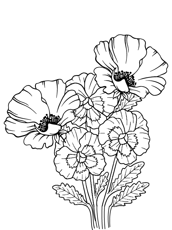 Dibujo de Página para Colorear Imprimible de Flor de Petunia para Colorear