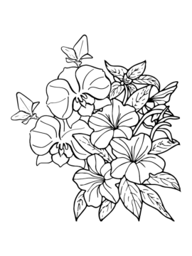 Dibujo de Página para Colorear Imprimible de Petunia para Colorear