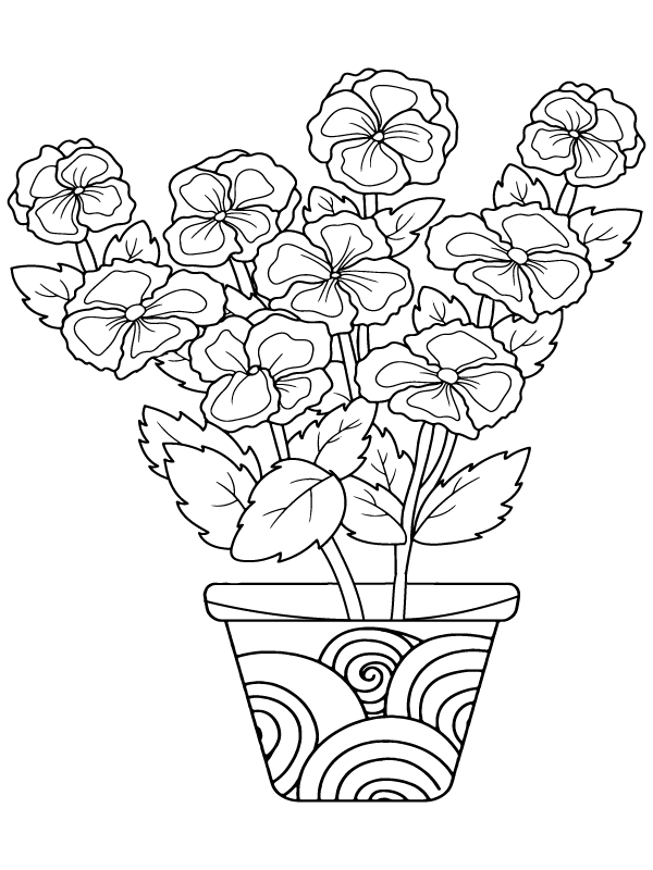 Dibujo de Página para Colorear de Flor de Petunia para Colorear