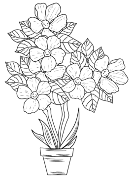 Dibujo de Página para Colorear de Petunia para Colorear