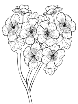 Dibujo de Página para Colorear de Ramo de Flores de Petunia para Colorear