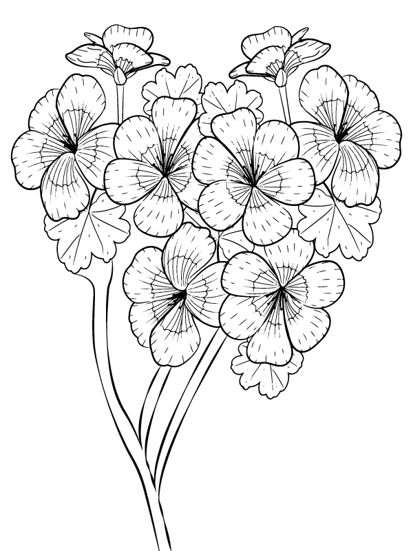 Dibujo de Página para Colorear de Ramo de Flores de Petunia para Colorear