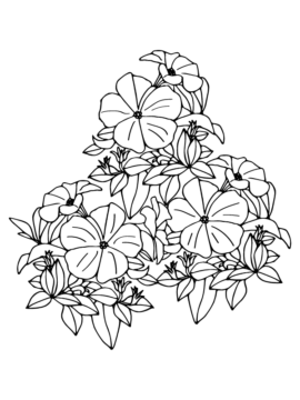 Dibujo de Página para Colorear de Relajacion en el jardín de Petunias para Colorear