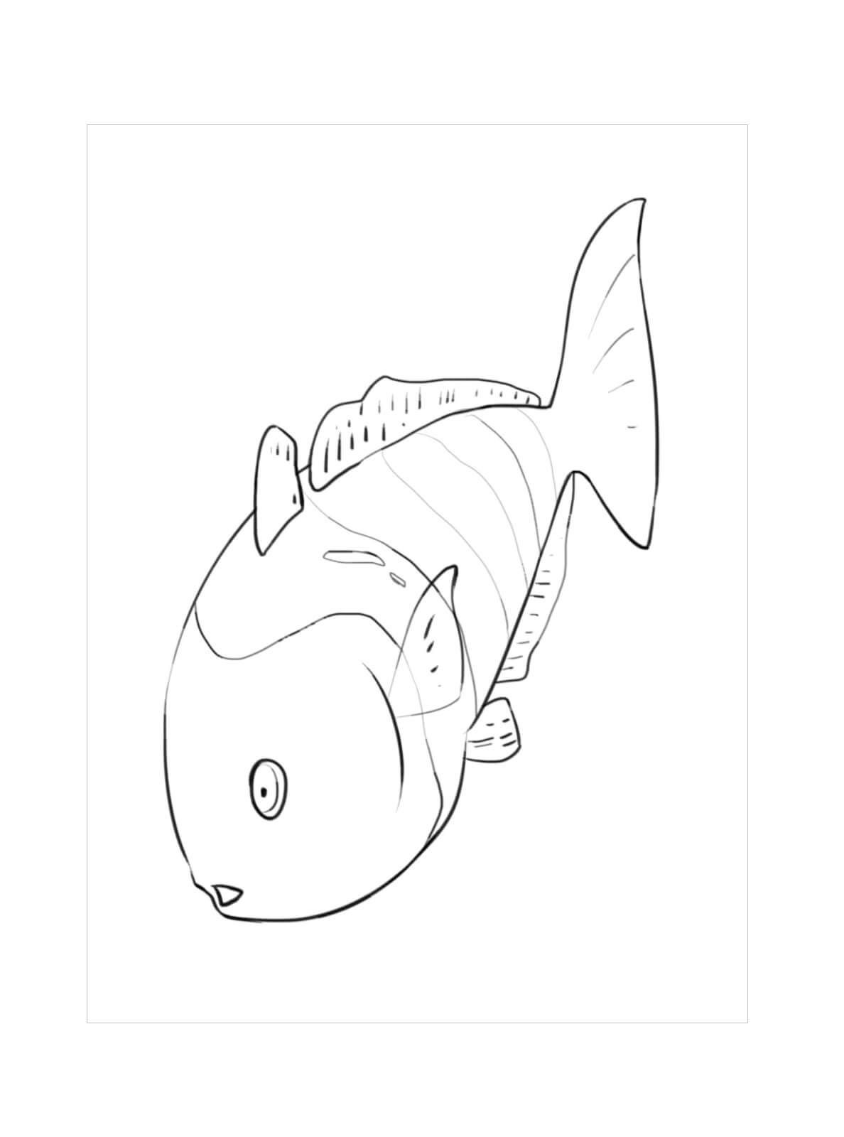 Dibujo de Impresionante Pez arcoíris para Colorear