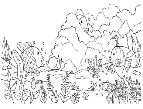 Dibujo de Pez arcoíris Jugando al Escondite para Colorear