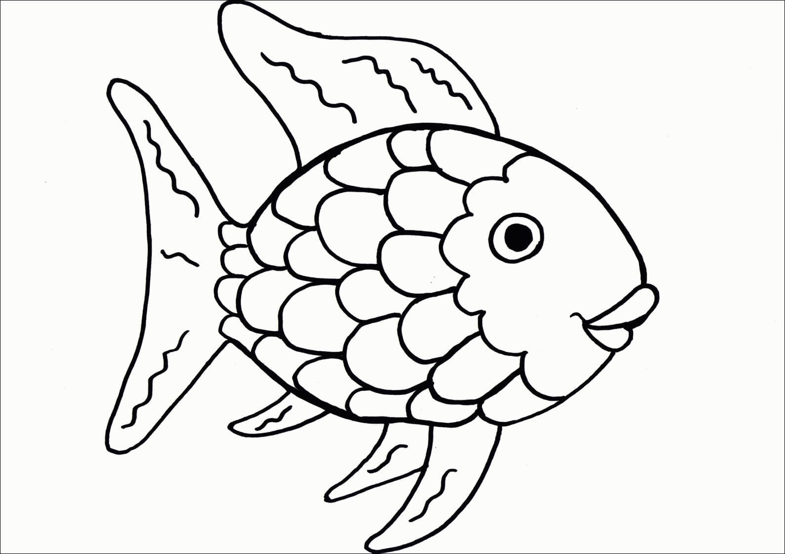 Dibujo de Pez arcoíris básico para Colorear