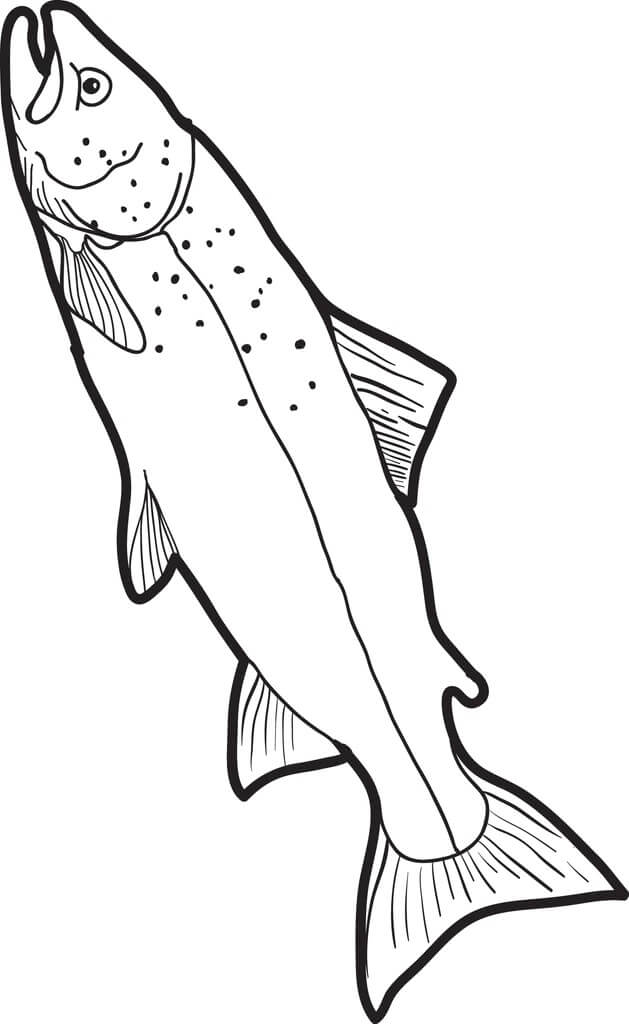 Dibujo de Bonito Pez para Colorear