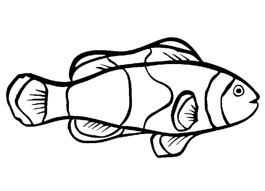 Dibujo de Buen Pez para Colorear