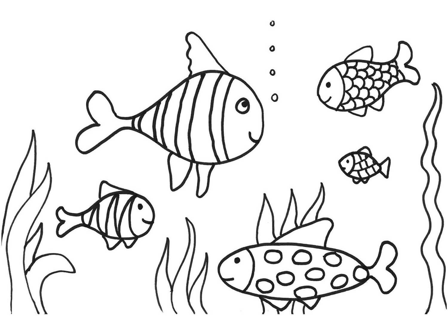 Dibujo de Cinco Peces para Colorear