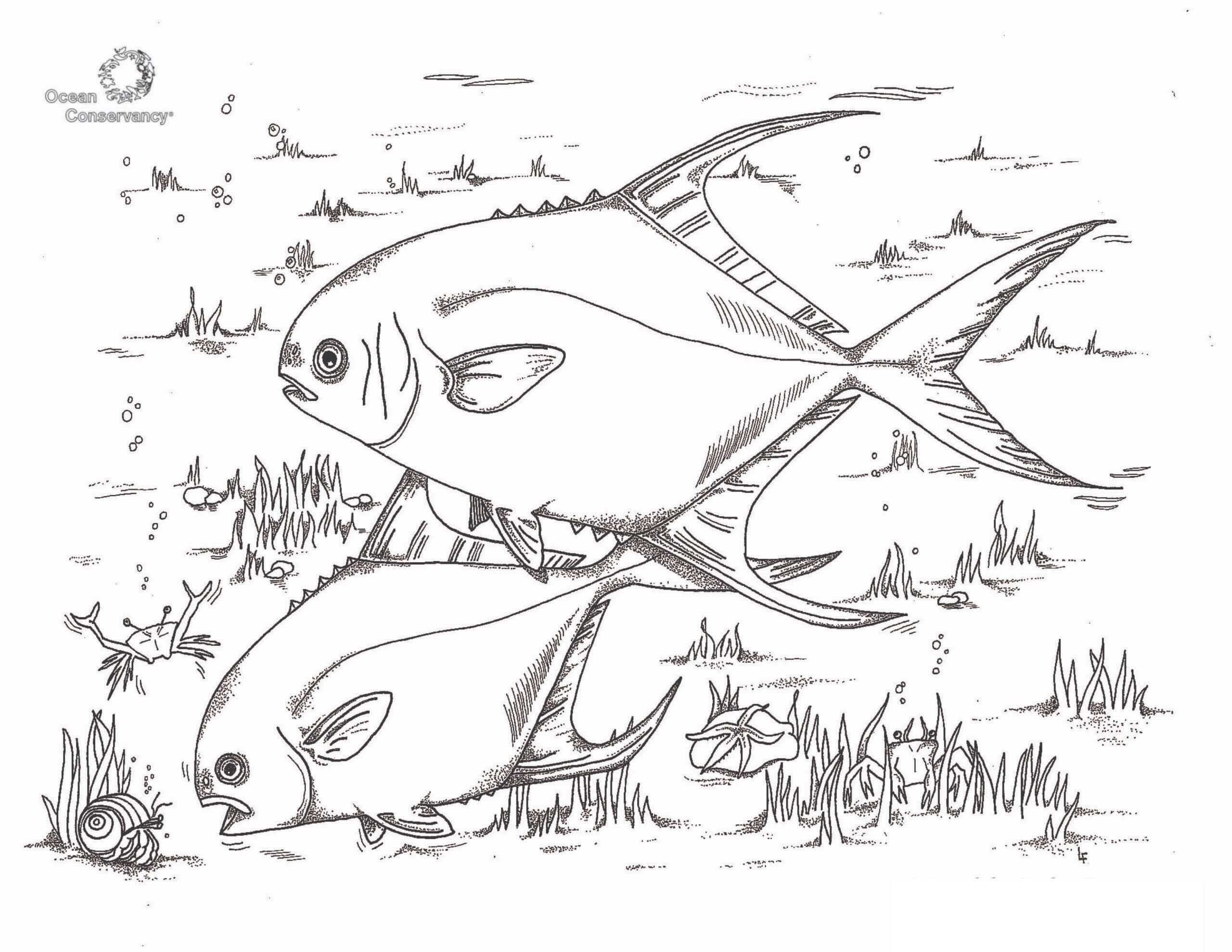 Dibujo de Dos Peces Normales para Colorear