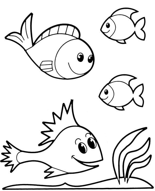 Dibujo de Lindos Cuatro Peces para Colorear