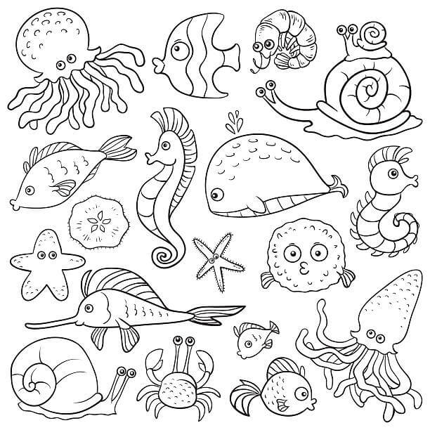 Dibujo de Los Pez y los Animales Marinos para Colorear