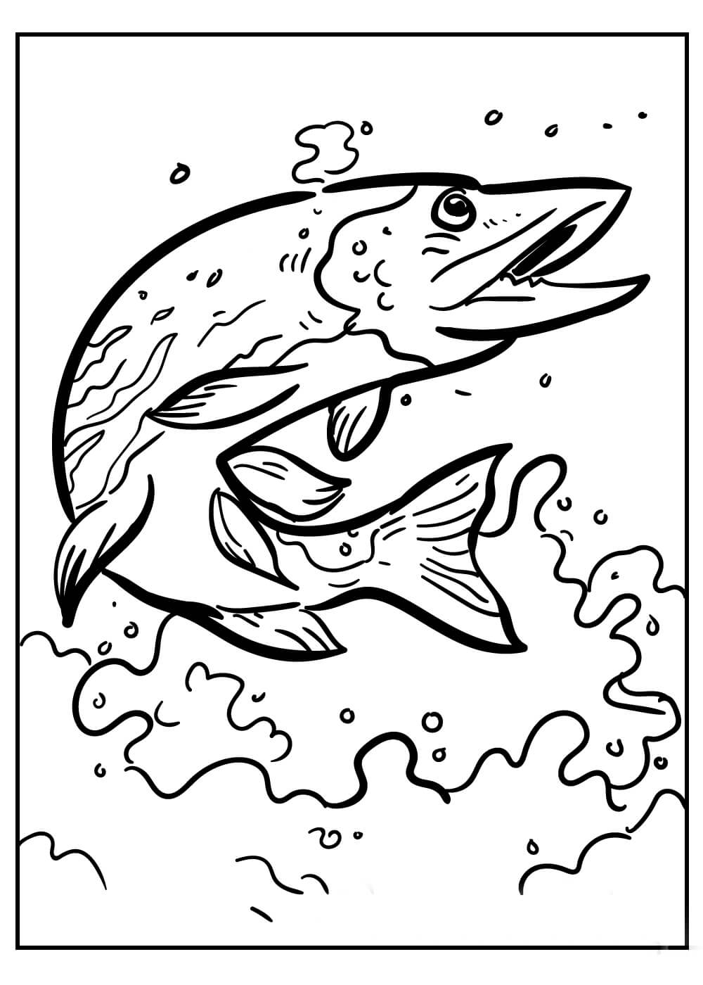 Dibujo de Pescado Fresco para Colorear