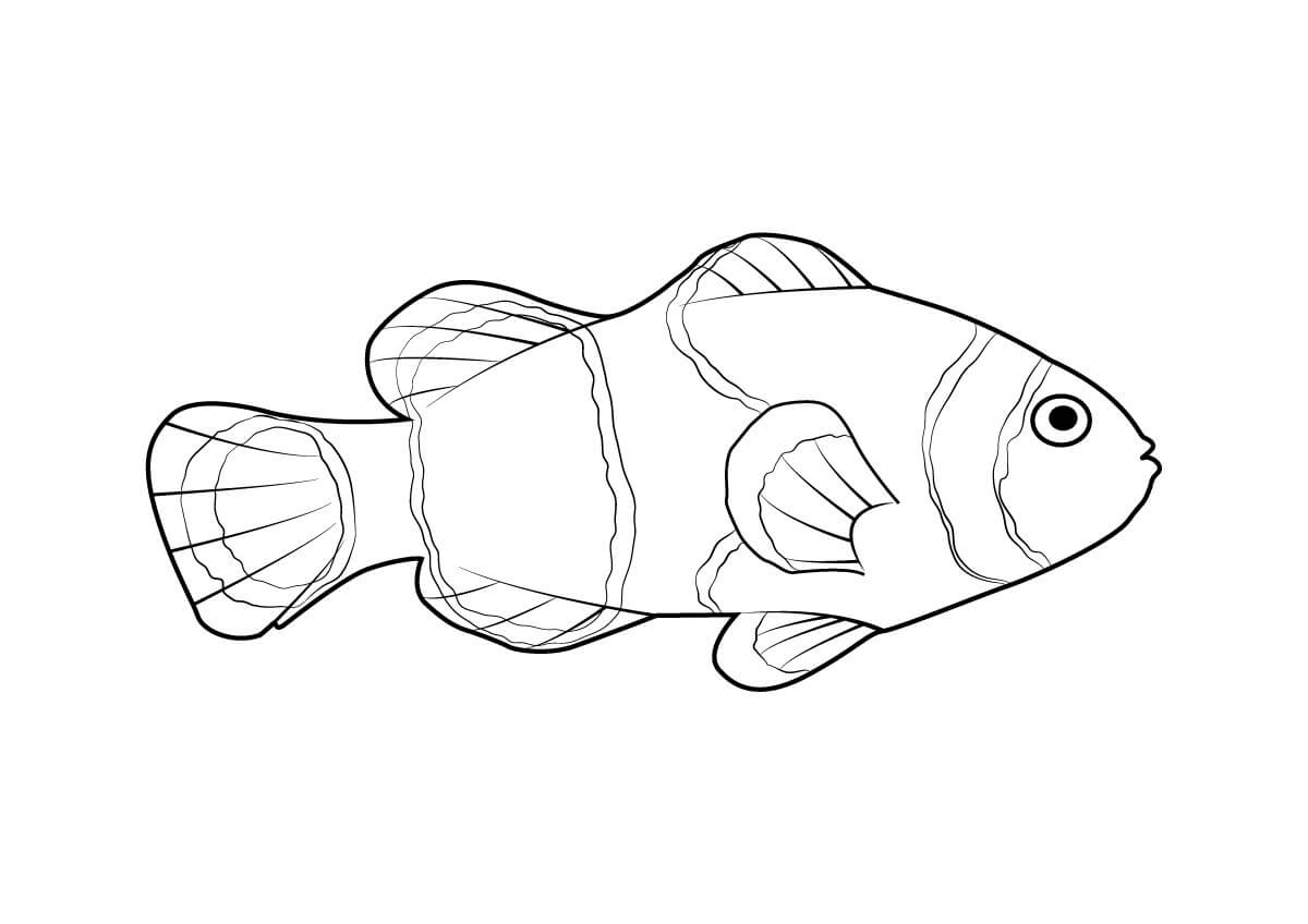 Dibujo de Pez Adorable para Colorear