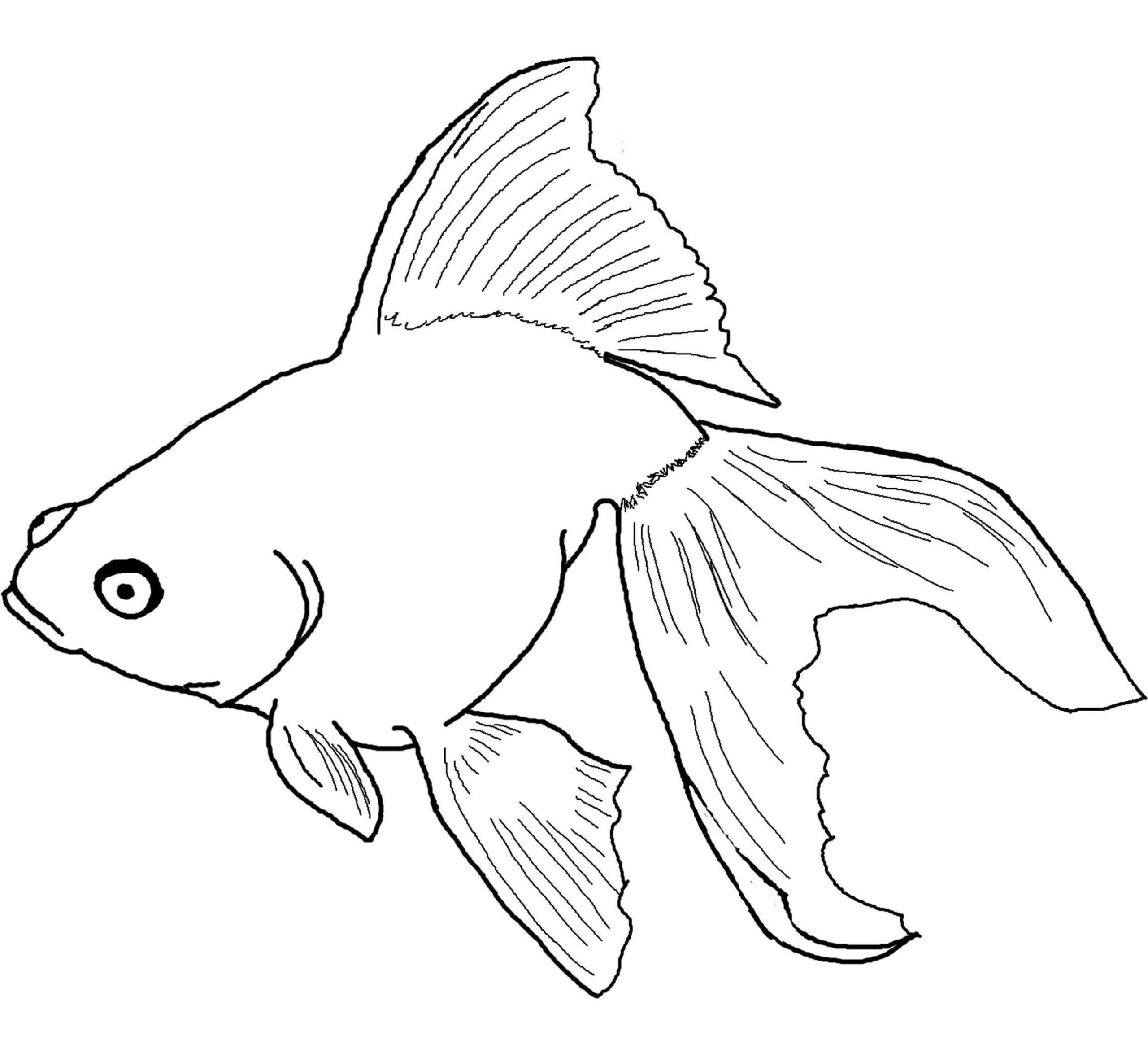 Dibujo de Pez Asombroso Scaled para Colorear