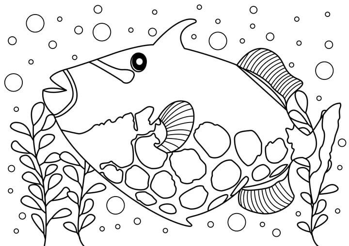 Dibujo de Pez Ballesta para Colorear
