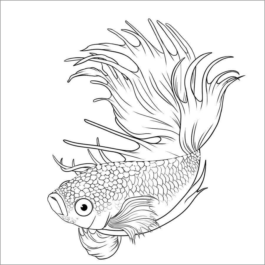 Dibujo de Pez Gratis para Colorear
