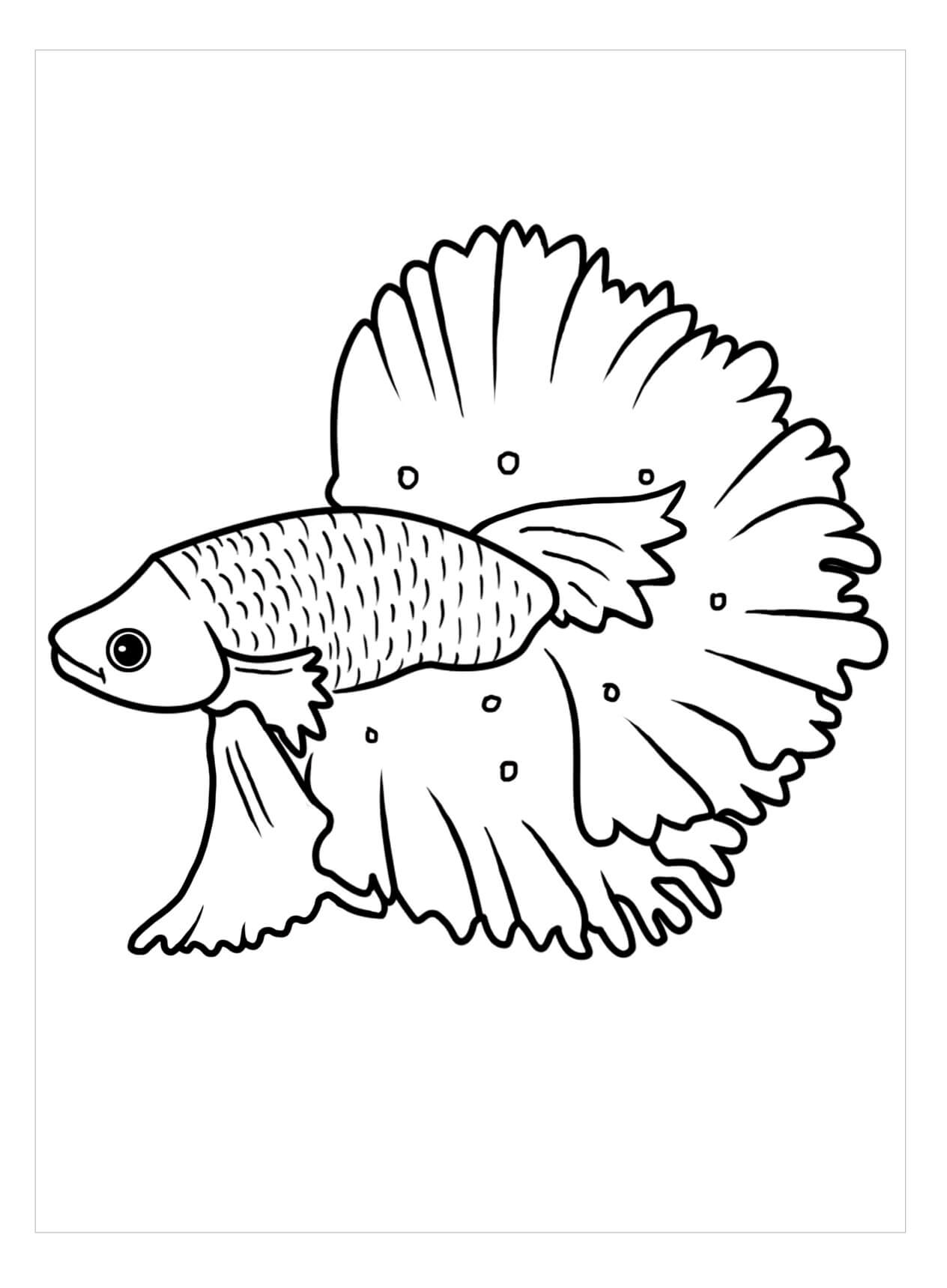 Dibujo de Pez Perfecto para Colorear