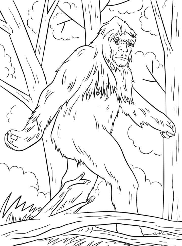 Dibujo de Bigfoot Misterioso 3 para Colorear