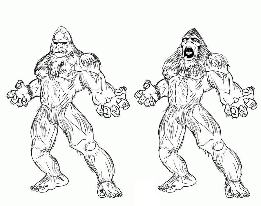 Dibujo de Bigfoot Misterioso 4 para Colorear