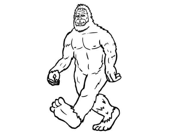 Dibujo de Pie Grande 4 para Colorear