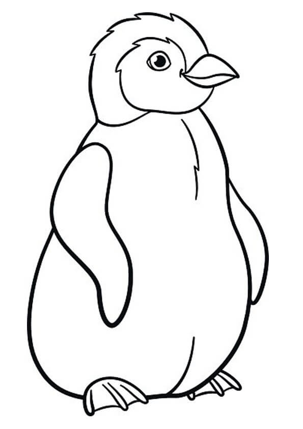 Dibujo de Bonito pingüino para Colorear