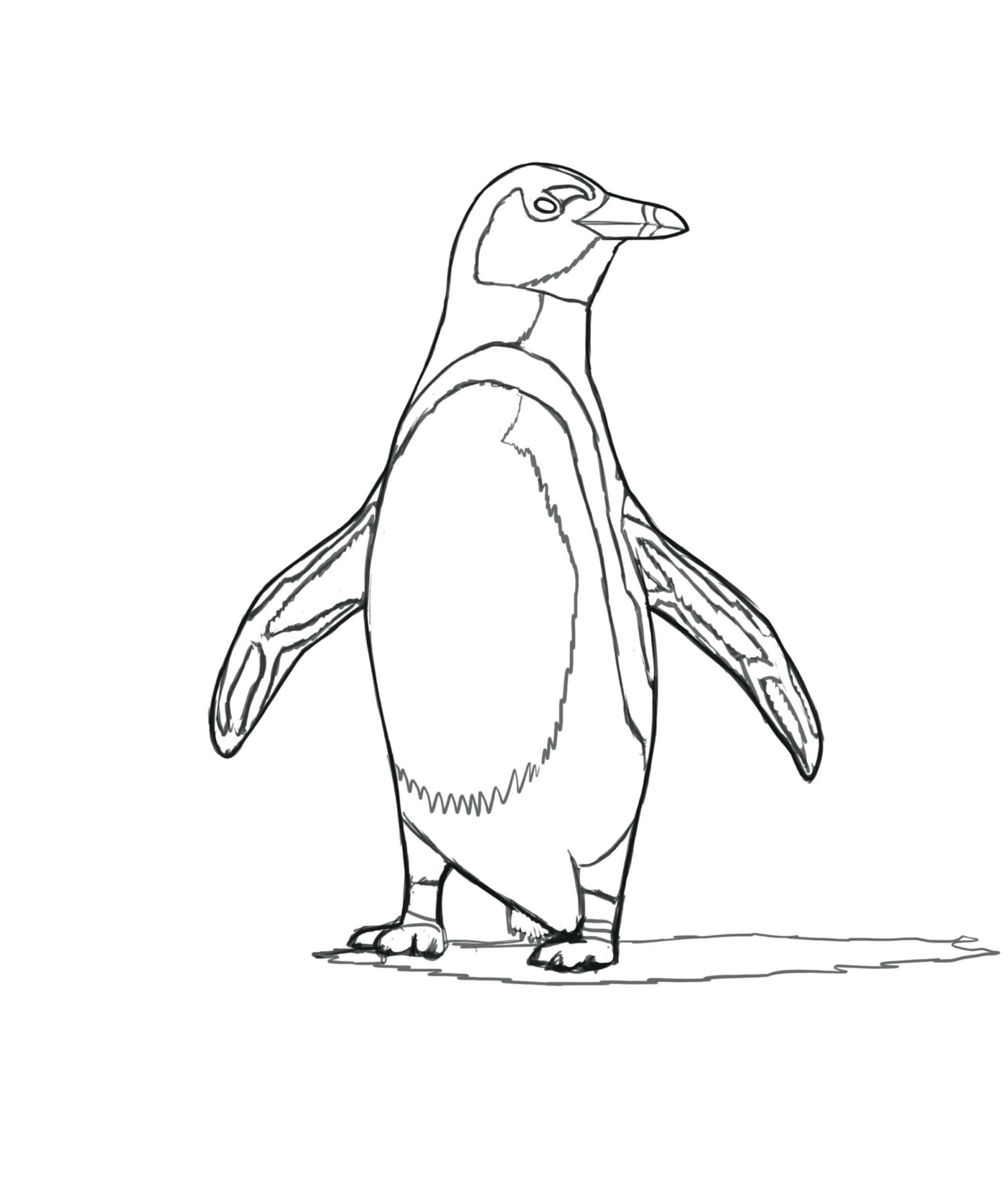 Dibujo de Pingüino Africano para Colorear