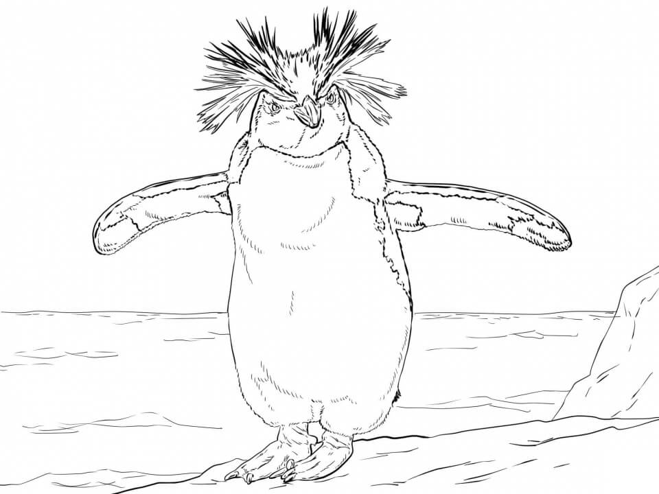 Dibujo de Pingüino Asombroso para Colorear