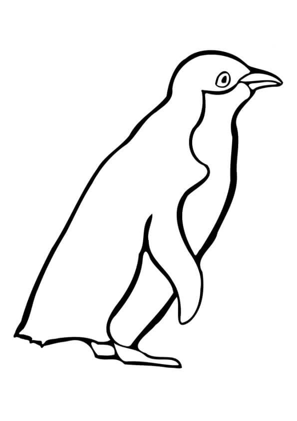 Dibujo de Pingüino de Dibujo básico para Colorear