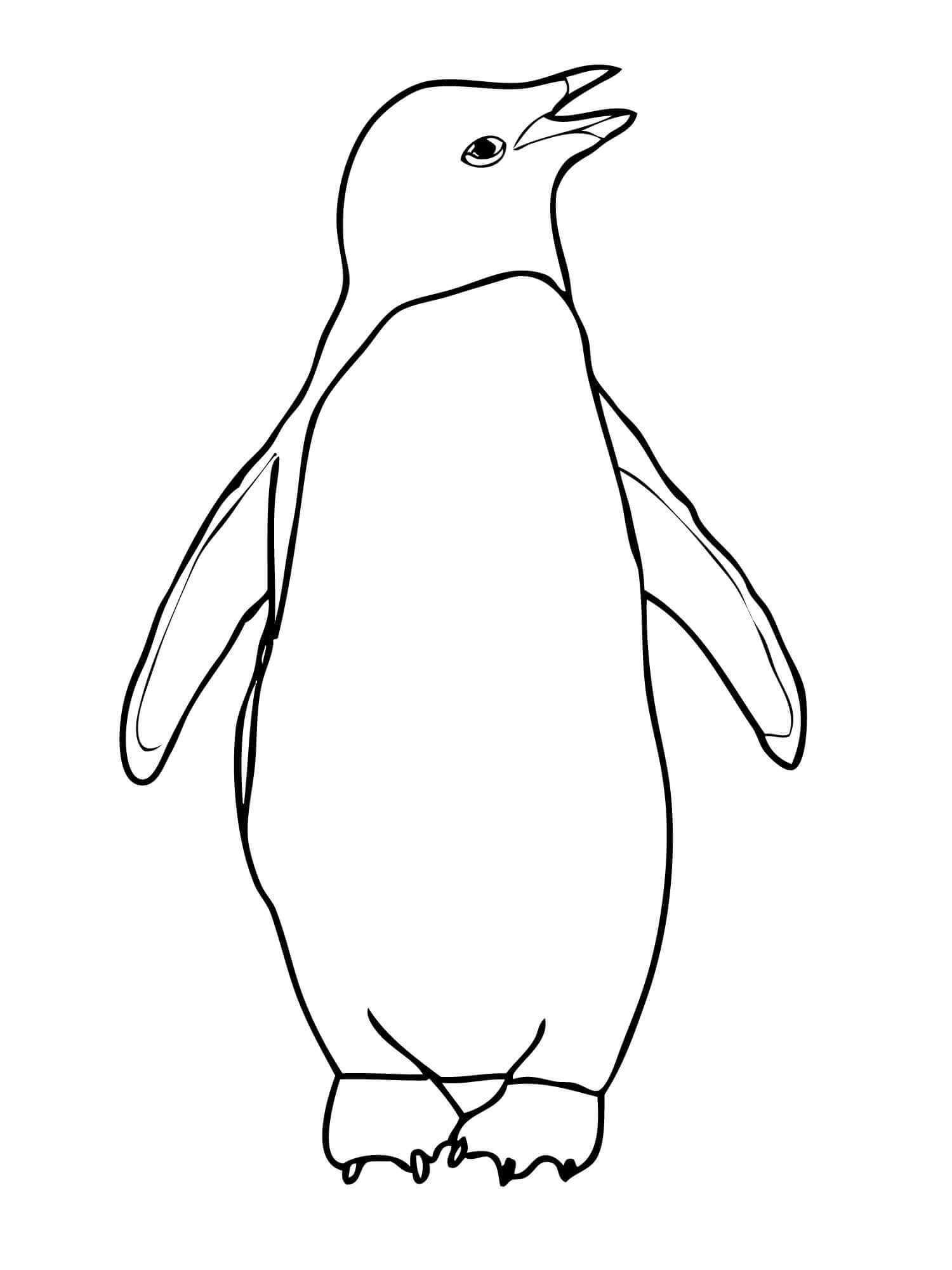 Dibujo de Pingüino Emperador para Colorear