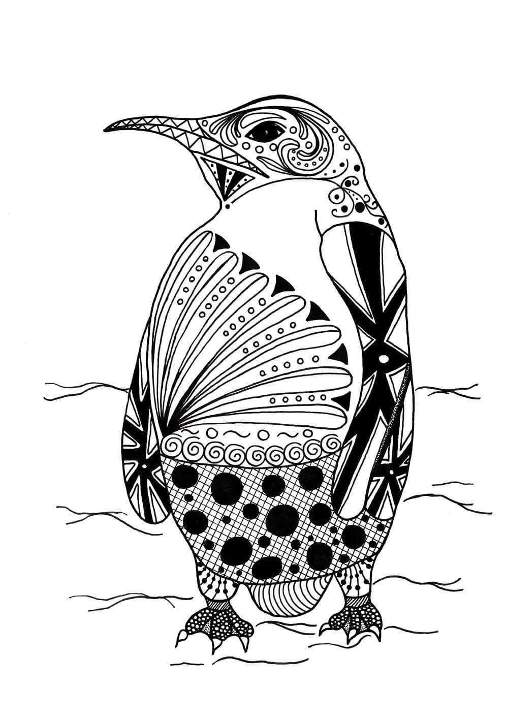 Dibujo de Pingüino Es para Adultos para Colorear