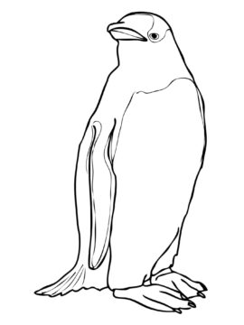 Dibujo de Pingüino Impresionante para Colorear
