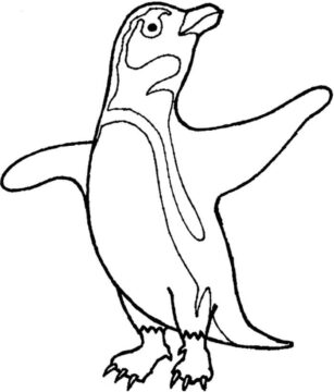 Dibujo de Pingüino Perfecto para Colorear