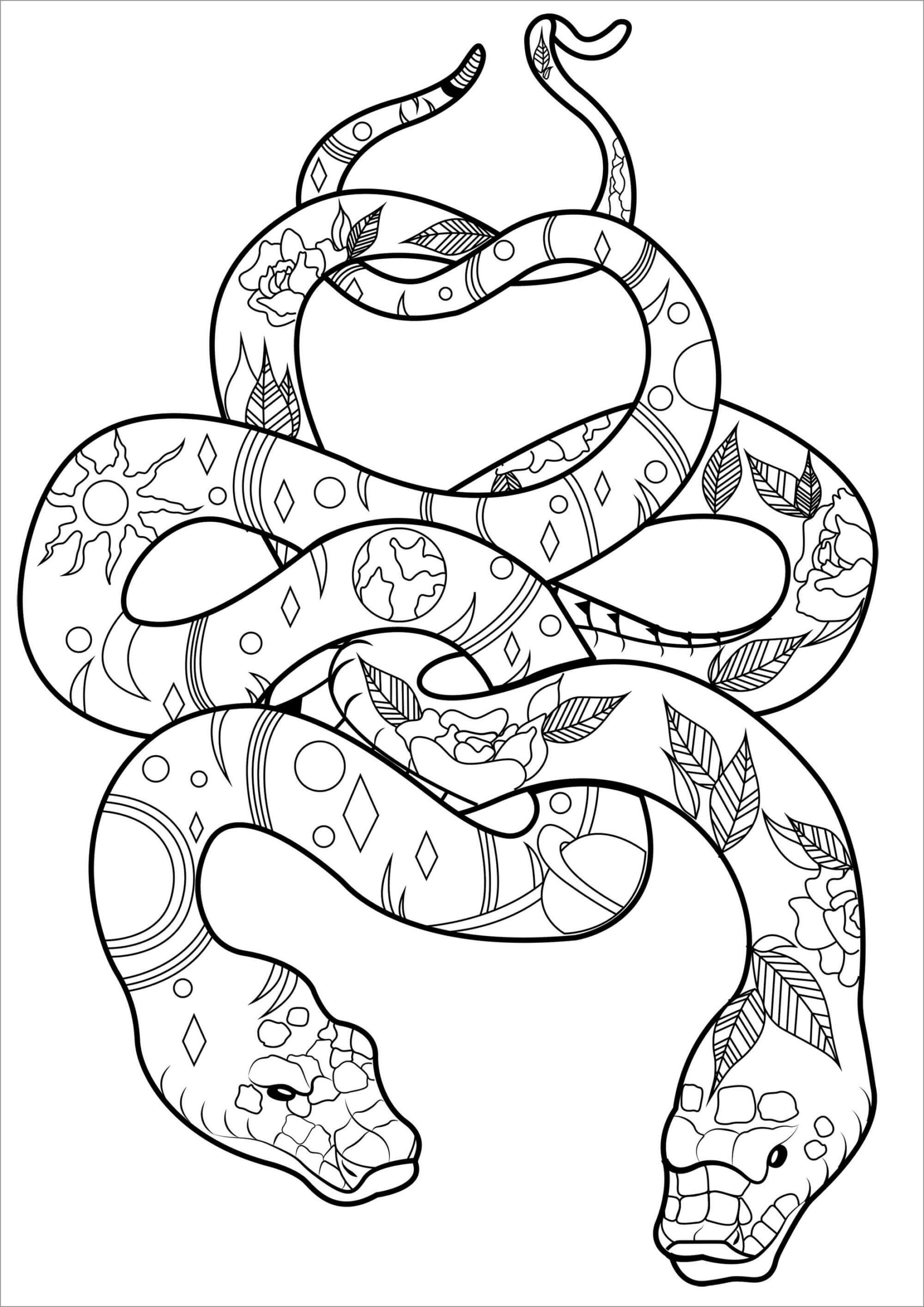 Dibujo de Dos Piton Scaled para Colorear