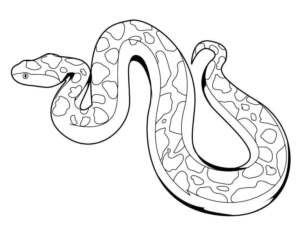 Dibujo de Piton Impresionante para Colorear