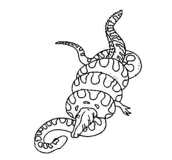 Dibujo de Piton Contra Cocodrilo para Colorear