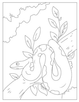 Dibujo de Python en Rama de árbol para Colorear