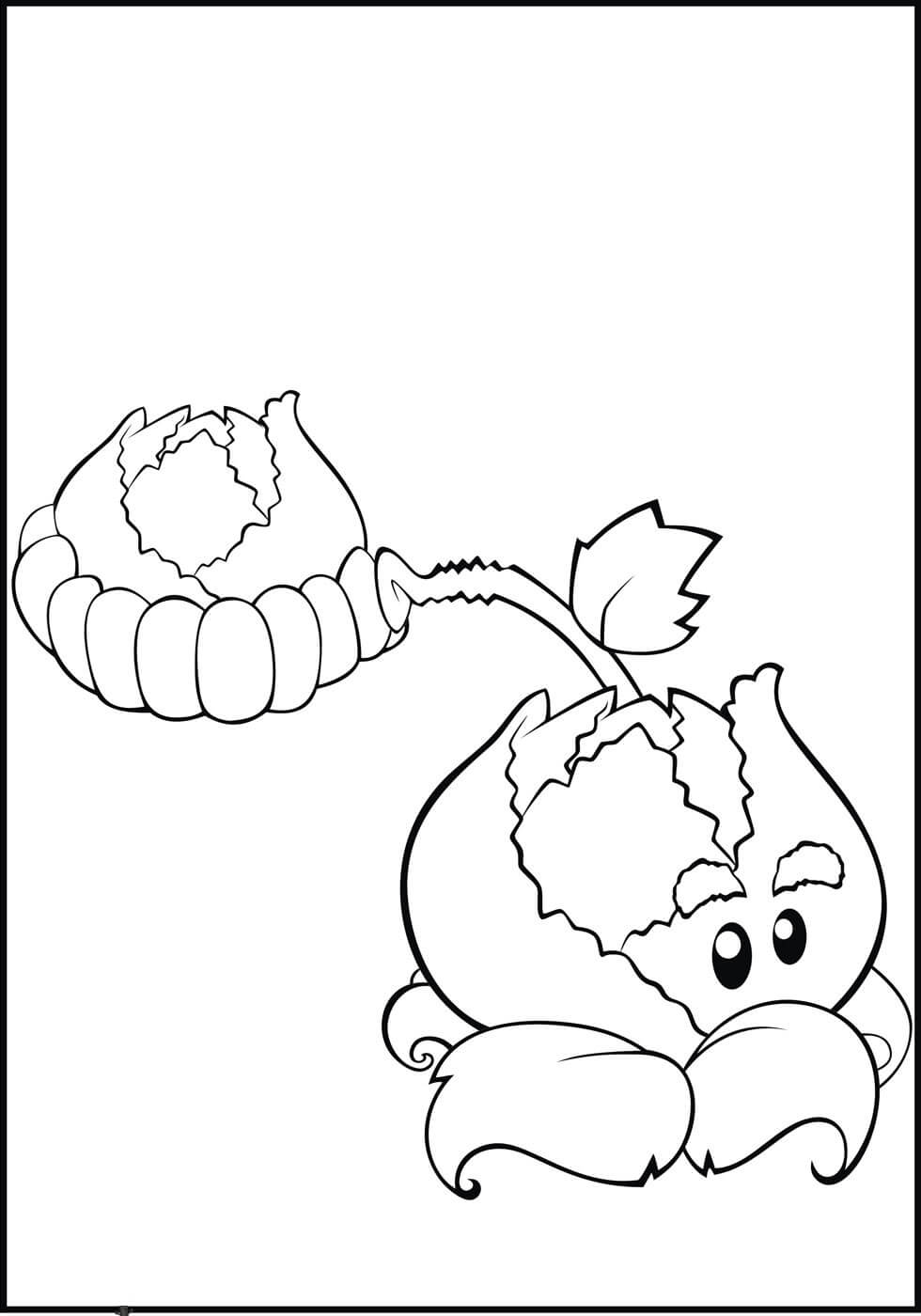 Dibujo de Pult de Repollo en Plants Vs Zombies para Colorear