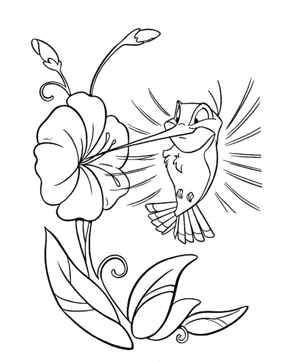Dibujo de Flit Bebiendo Nectar para Colorear