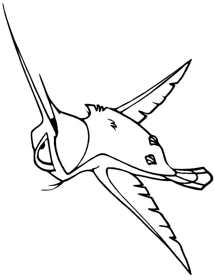 Dibujo de Revolotear en Pocahontas para Colorear