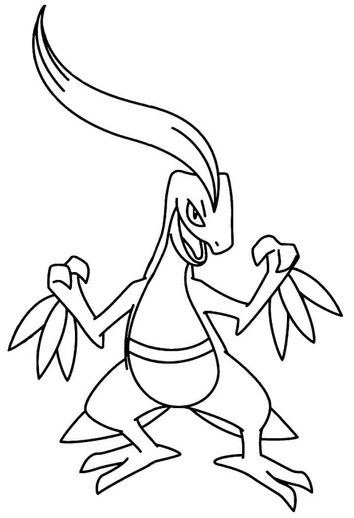 Dibujo de Grovyle en Pokémon para Colorear
