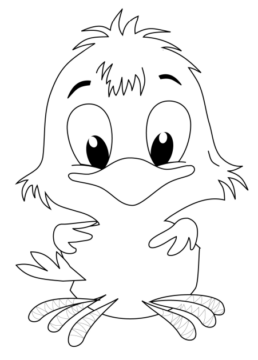 Dibujo de Un Polluelo para Colorear