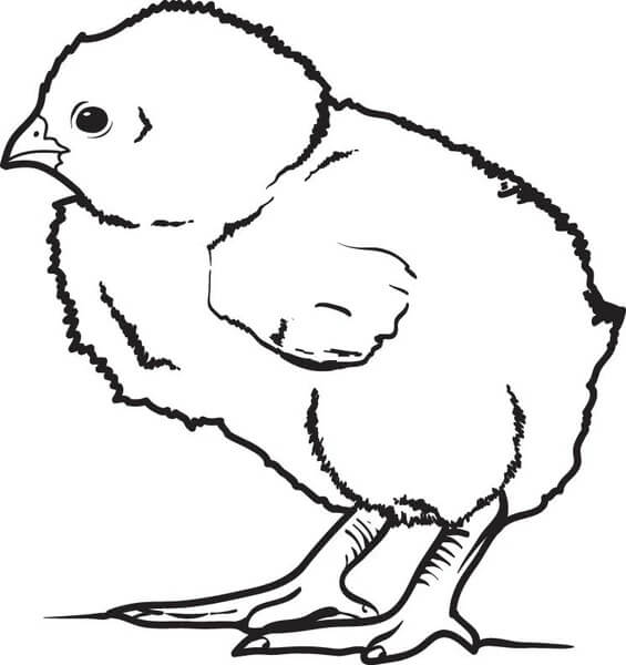 Dibujo de Chica Perfecta para Colorear