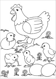 Dibujo de Cuatro Pollitos y Gallina para Colorear