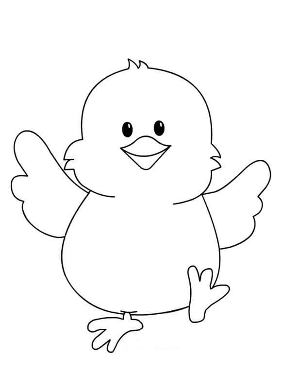 Dibujo de Pollito Caminando para Colorear